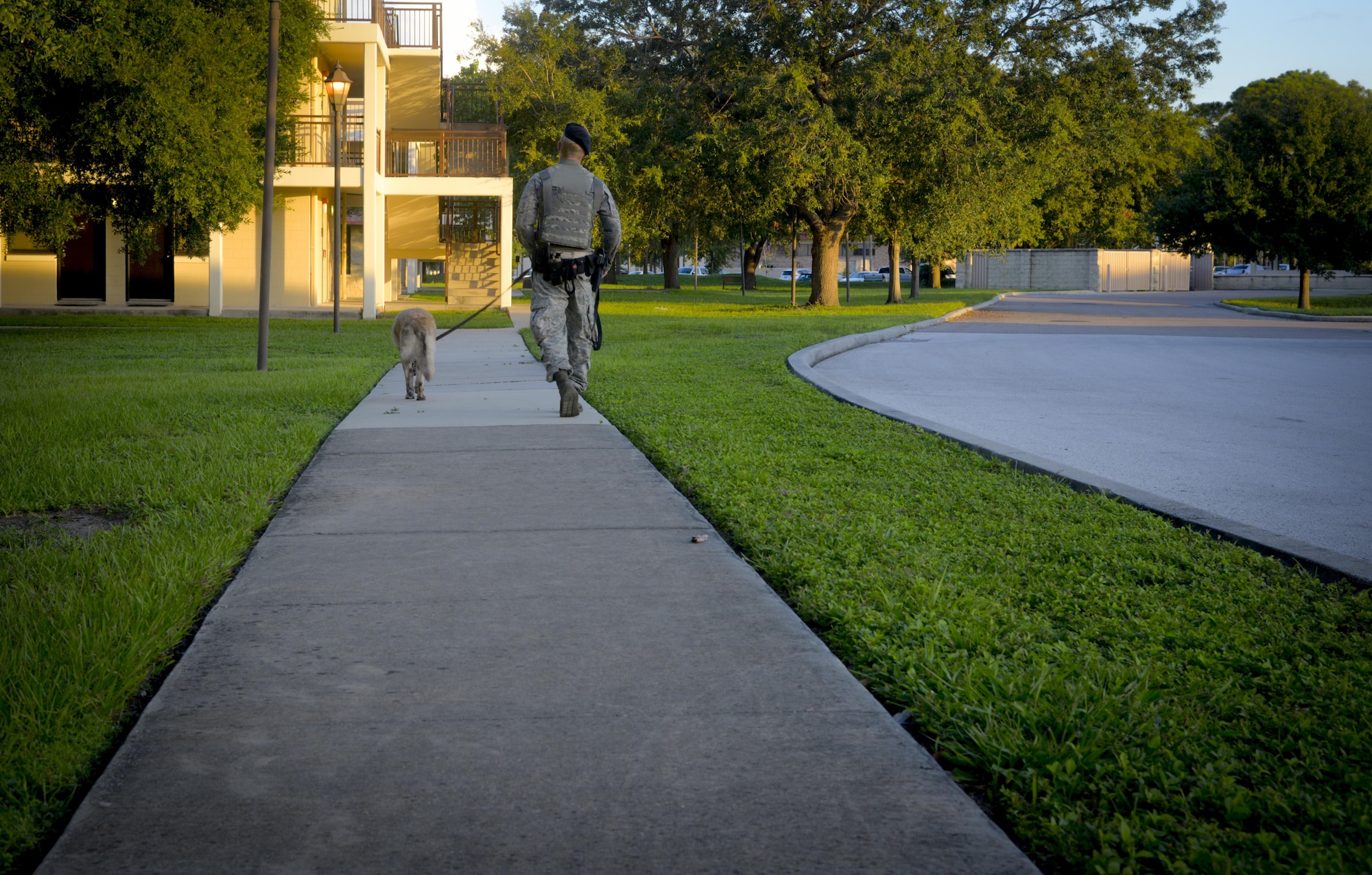 U.S. Air Force Senior Airman Brian Loughmiller, a military working dog handler assigned to the 6th Security Forces Squadron, patrols the base with Jecky, a military working dog, at MacDill Air Force Base, Fla., Aug. 15, 2017. Military working dogs and their handlers frequently patrol the base to ensure it is safe. (U.S. Air Force photo by Senior Airman Mariette Adams)