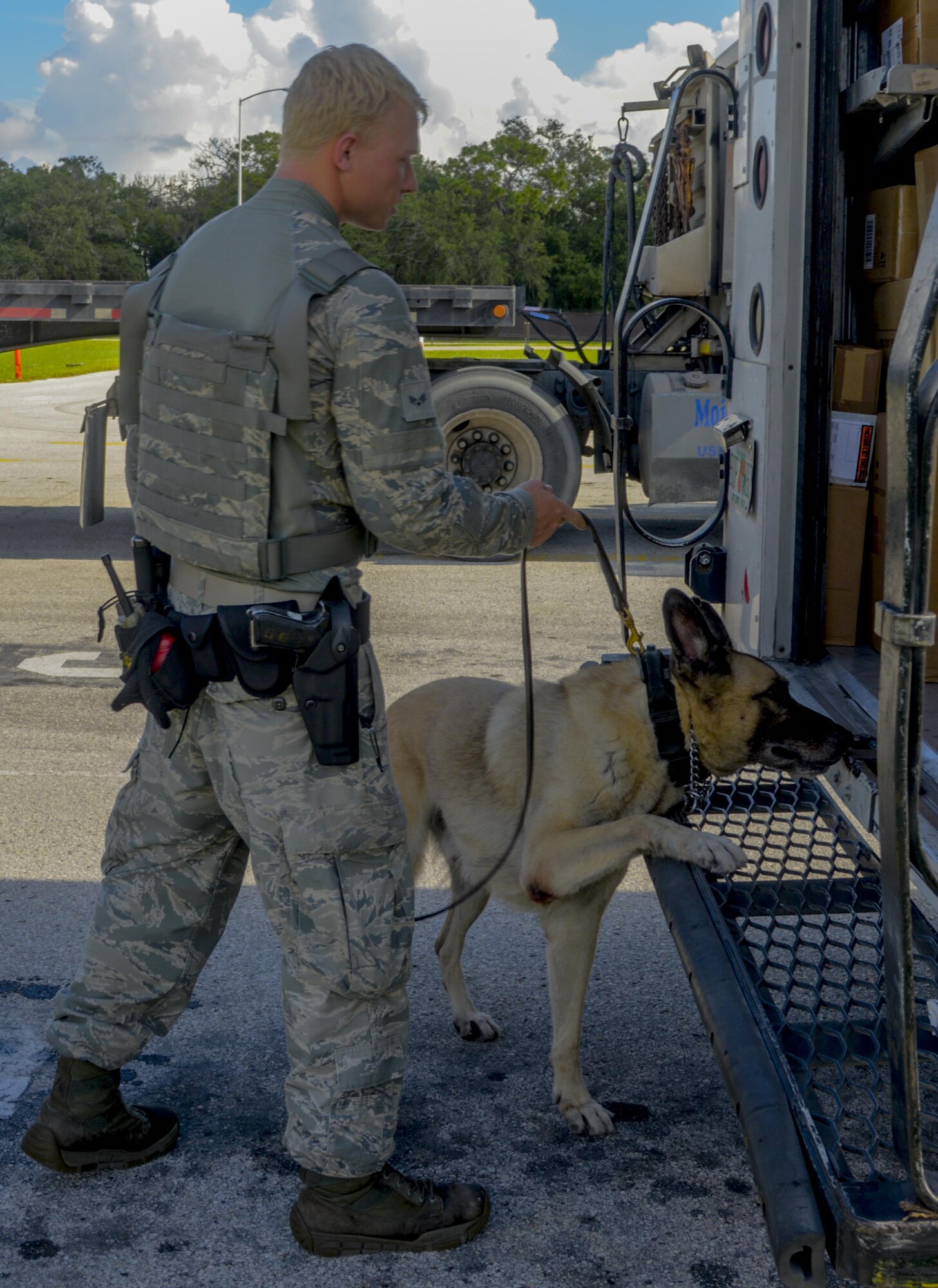 U.S. Air Force Senior Airman Brian Loughmiller, a military working dog handler assigned to the 6th Security Forces Squadron, searches vehicles with his partner Jecky, a military working dog, at MacDill Air Force Base, Fla., Aug. 15, 2017. Military working dogs are trained to detect explosives or drugs. (U.S. Air Force photo by Senior Airman Mariette Adams)