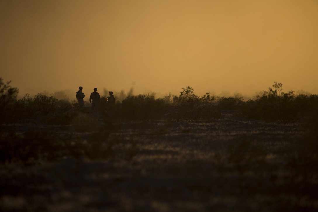 U.S. Marines from 1st Battalion, 1st Marine Regiment, and 2nd Assault Amphibian Battalion, both with Regimental Combat Team-8, conducted a live-fire range during Large scale Exercise-17 at Twentynine Palms, Calif., Aug. 15-18, 2017. LSE-17 is a multinational exercise, led by 2nd Marine Division, with elements from the United Kingdom, France, Canada and II Marine Expeditionary Force, focused on integrating all capabilities of the Marine Air-Ground Task Force and coalition forces.