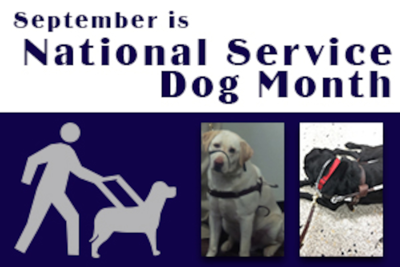 DLA Land and Maritime recognizes associates and their service dogs