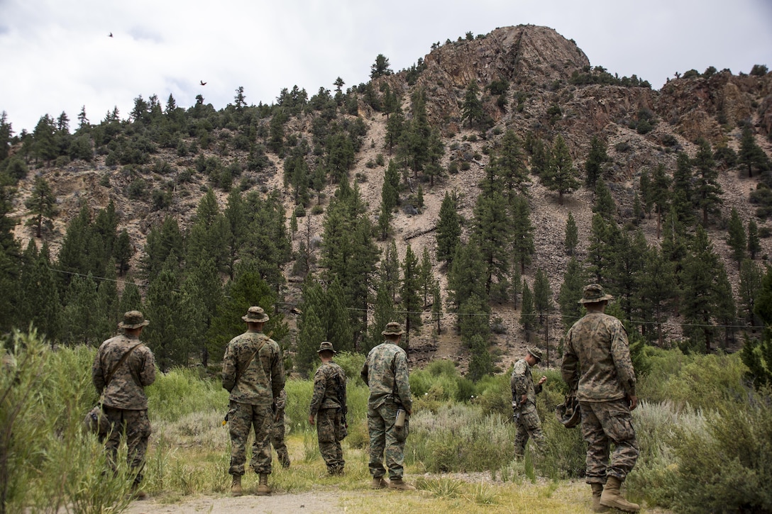 Pfc. William Brooks, machine gunner, 2nd Battalion, 8th Marine Regiment, sights in his M240B during Mountain Training Exercise 4-17 aboard Marine Corps Mountain Warfare Training Center, Bridgeport, Calif., August 2, 2017. Marines with 2/8, based out of Marine Corps Base Camp Lejeune, N.C., conducted the training in preparation for an upcoming deployment. (U.S. Marine Corps photo by Pfc. Margaret Gale)