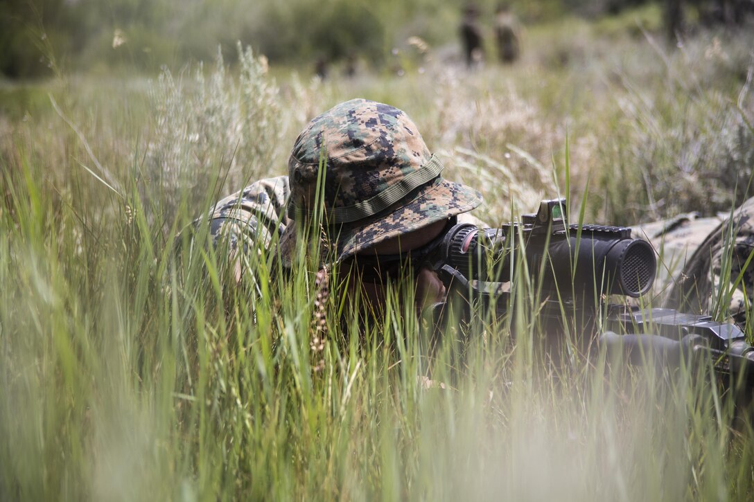 Pfc. William Brooks, machine gunner, 2nd Battalion, 8th Marine Regiment, sights in his M240B during Mountain Training Exercise 4-17 aboard Marine Corps Mountain Warfare Training Center, Bridgeport, Calif., August 2, 2017. Marines with 2/8, based out of Marine Corps Base Camp Lejeune, N.C., conducted the training in preparation for an upcoming deployment. (U.S. Marine Corps photo by Pfc. Margaret Gale)