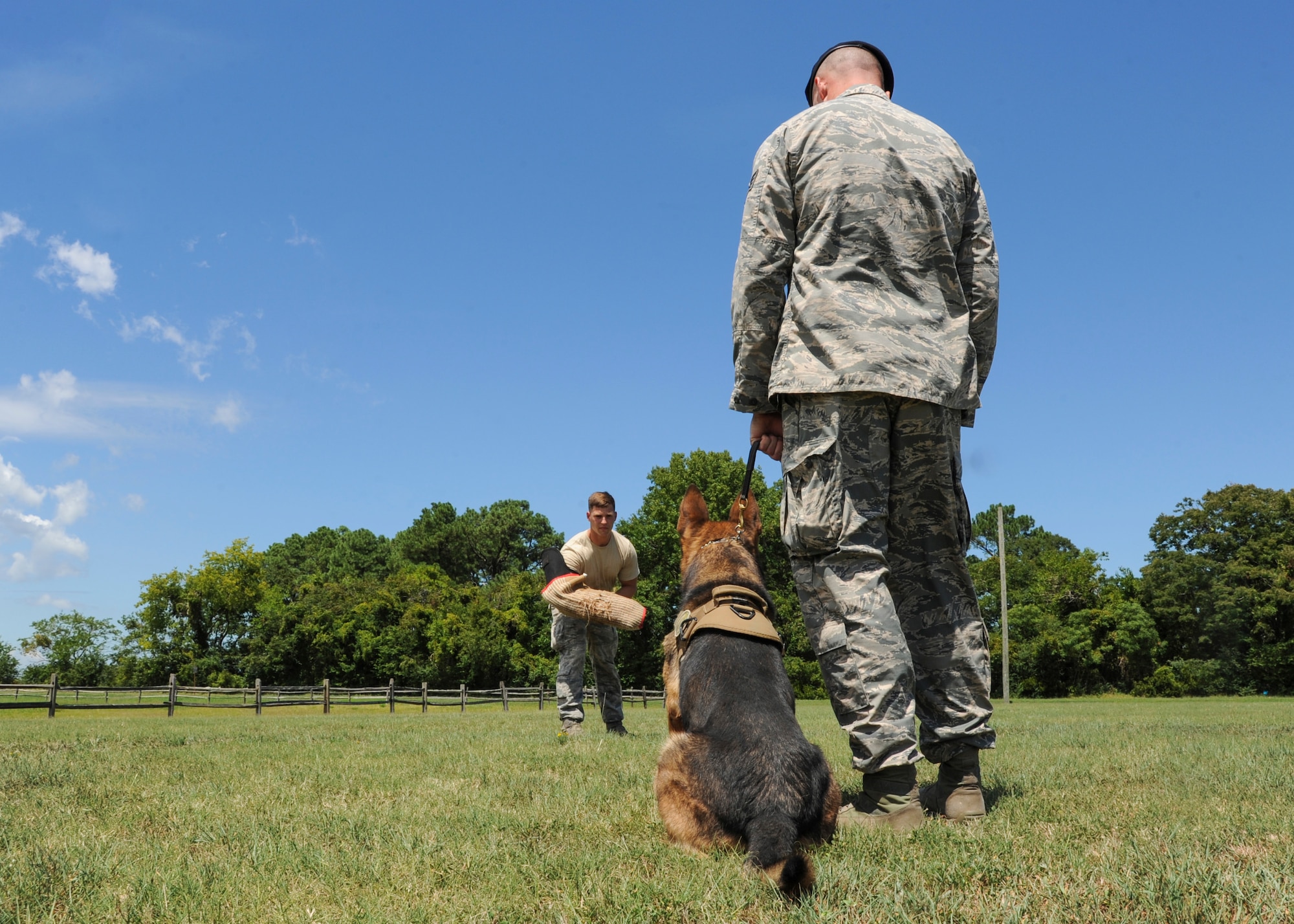 U.S. Air Force Staff Sgt. Jeffrie Kennedy, 633rd Security Forces Squadron military working dog handler prepares to instruct his partner, Toni, 633rd SFS MWD, at Joint Base Langley-Eustis, Va., Aug. 4, 2017.