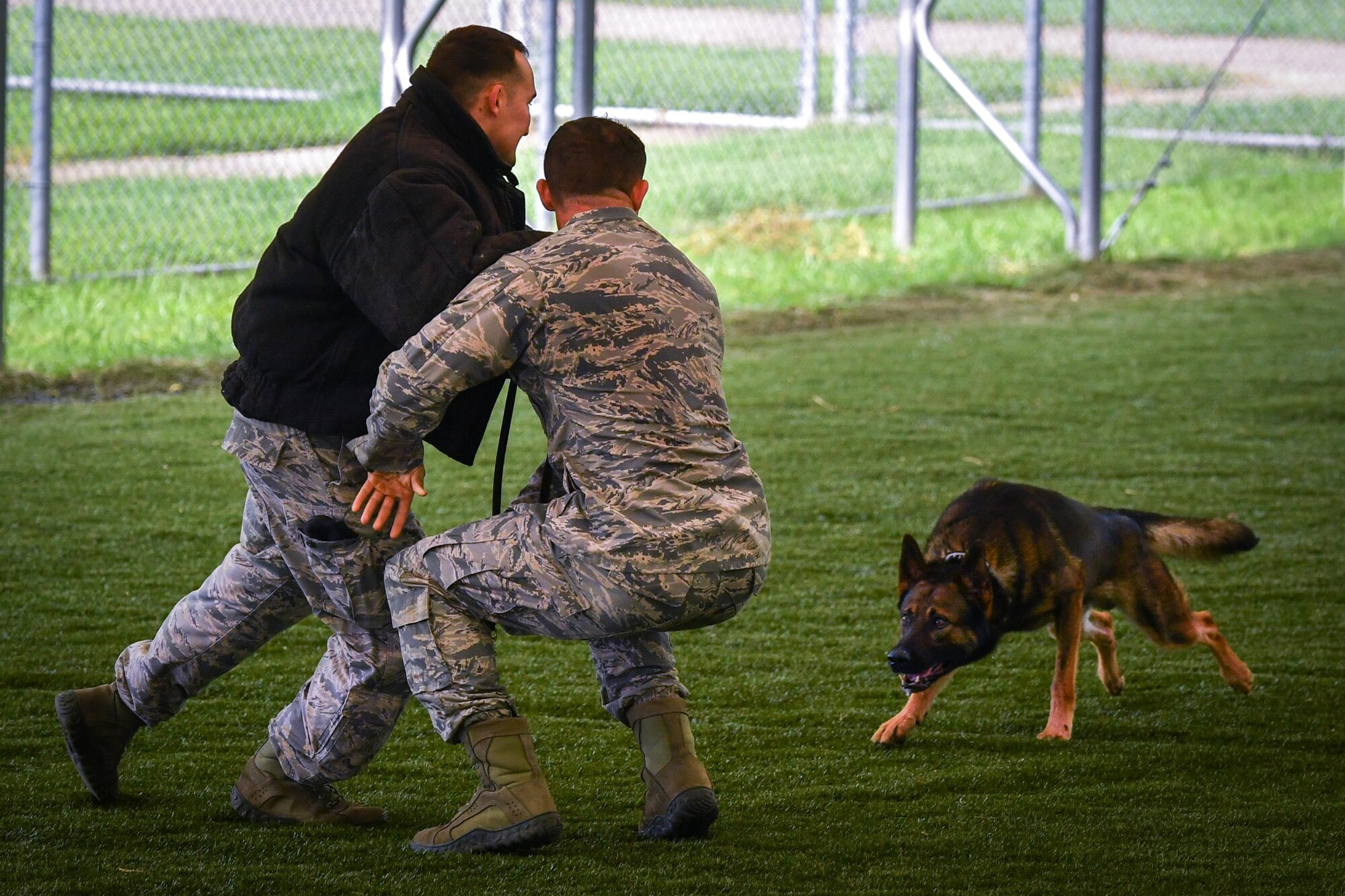 Staff Sgt. Stephen Lammers, 2nd Security Forces Squadron military working dog trainer, simulates an attack toward Senior Airman Jordan Crouse, 2nd SFS MWD handler during a patrol dog certification evaluation at Barksdale Air Force Base, La., Aug. 11, 2017. The evaluation was conducted to upgrade military working dog Hector from a single to a double purpose detector dog status by acquiring a patrol certification