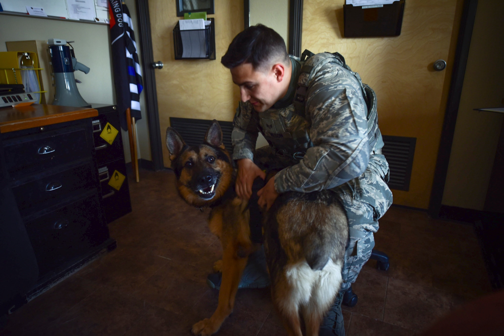 Senior Airman Ryne Wilson, 99th Security Forces Squadron military working dog handler, praises MWD Habo, August 7, 2017, at Nellis Air Force Base, Nevada. Handlers are encouraged to constantly praise their dogs when they successfully complete a task, regardless of its level of difficulty. (U.S. Air Force photo by Airman 1st Class Andrew D. Sarver/Released)