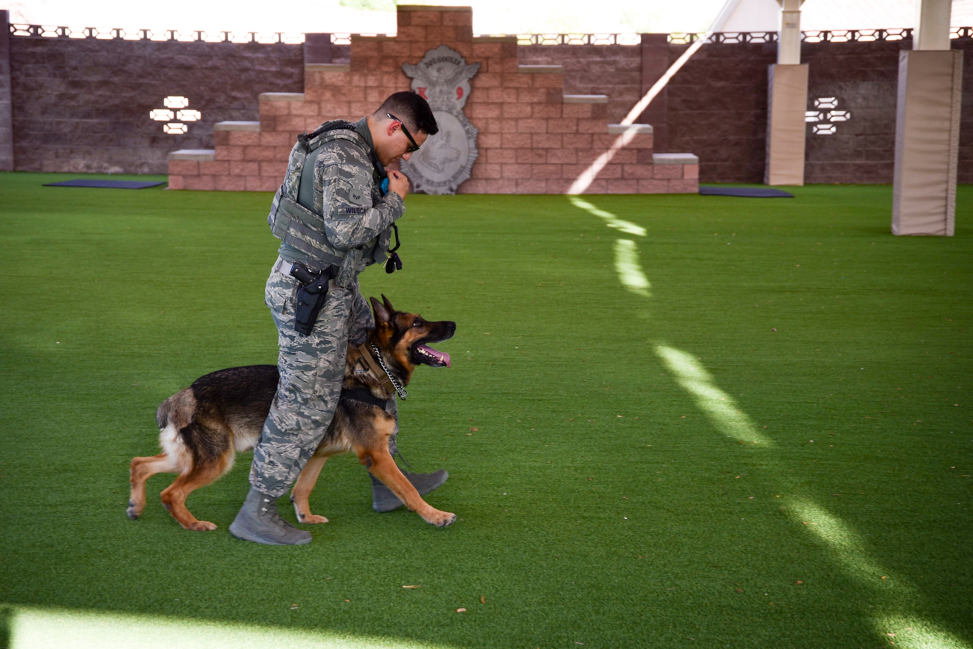 Senior Airman Ryne Wilson, 99th Security Forces Squadron military working dog handler, trains with MWD Habo during their daily exercises August 7, 2017, at Nellis Air Force Base, Nevada Handlers and their dogs train each day to maintain their skills and readiness for any situation. (U.S. Air Force photo by Airman 1st Class Andrew D. Sarver/Released)