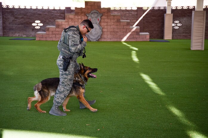 Senior Airman Ryne Wilson, 99th Security Forces Squadron military working dog handler, trains with MWD Habo during their daily exercises August 7, 2017, at Nellis Air Force Base, Nevada Handlers and their dogs train each day to maintain their skills and readiness for any situation. (U.S. Air Force photo by Airman 1st Class Andrew D. Sarver/Released)