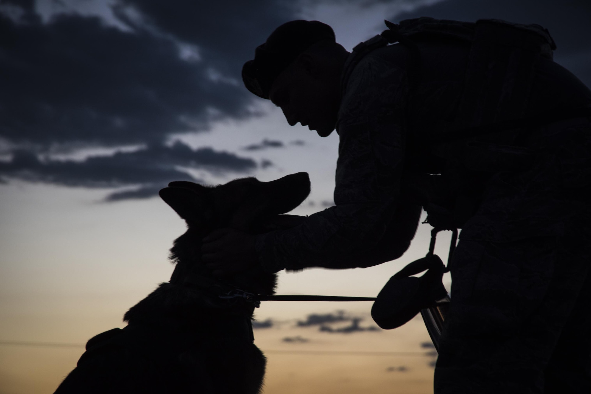 Senior Airman Ryne Wilson, 99th Security Forces Squadron military working dog handler, praises MWD Habo during a patrol at Nellis Air Force Base, Nevada, August 7, 2017. Praising their dog for exhibiting good behavior is an exceptional way to help build a bond between the handler and their dog. (U.S. Air Force photo by Airman 1st Class Andrew D. Sarver/Released)