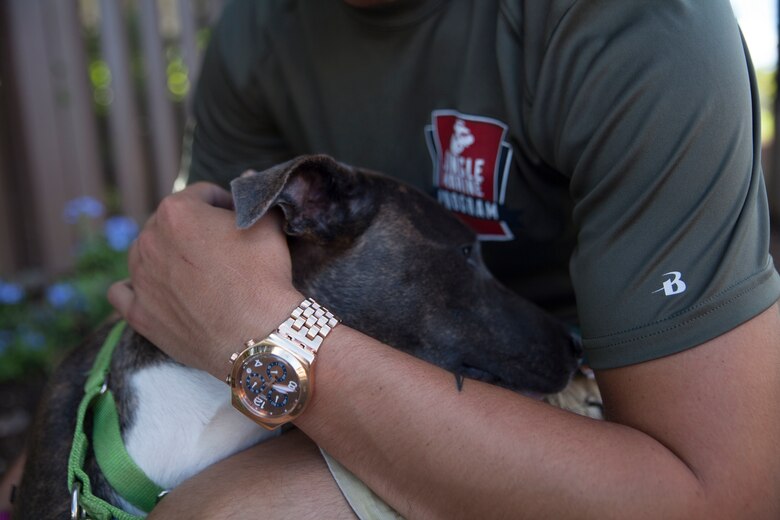 Lance Cpl. Jordan Durkee, an aircraft rescue and firefighter at the Marine Corps Air Station Kaneohe Bay, hugs an adoptable dog at the Hawaiian Humane Society during a Single Marine and Sailor Program volunteer event in Honolulu, Hawaii, Aug. 20, 2017. The Hawaiian Humane Society hosted a dog walking volunteer event for the Single Marine and Sailor Program to participate in and give back to their local community. The goal of the SMSP is to improve the morale of U.S. Service members and the surrounding communities with different volunteer events and recreational activities. (U.S. Marine Corps photo by Lance Cpl. Autumn Rodenhizer)