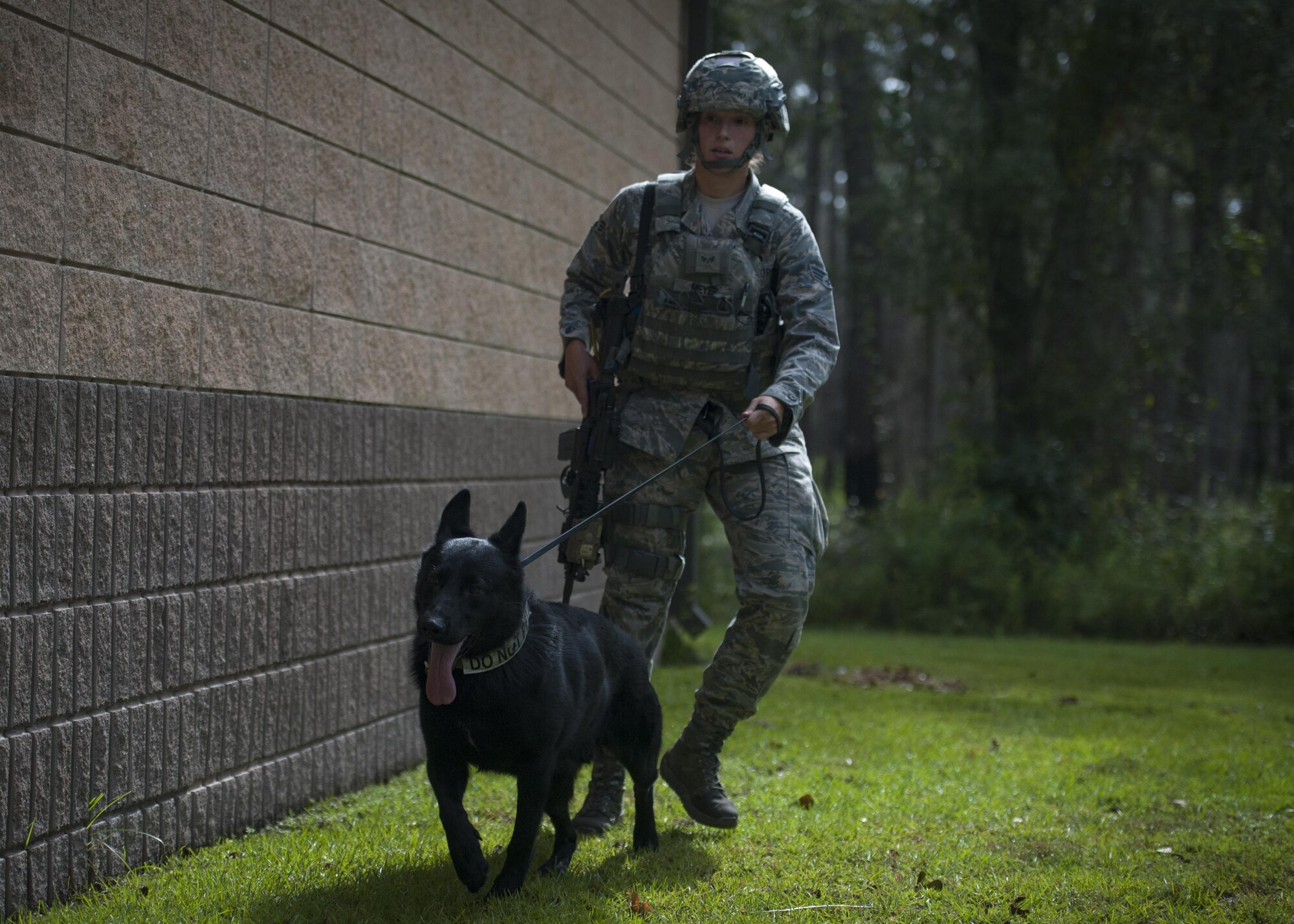 Senior Airman Nicole Meyer, 23d Security Forces Squadron military working dog handler, and MWD Buster, search the perimeter of a building during an emergency response exercise, Aug. 22, 2017, at Moody Air Force Base, Ga. The purpose of this active-shooter exercise was to inspect the recovery phase of an emergency situation while maintaining realism as members still responded as normal. (U.S. Air Force photo by Airman 1st Class Lauren M. Sprunk)