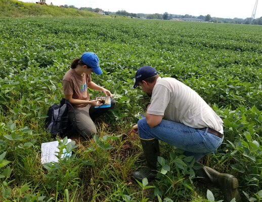 Katie Taylor from the District Office and Jeremy Kinney of the Dover Field Office of the Regulatory Division preforming a wetland delineation verification in northeastern Ohio.
