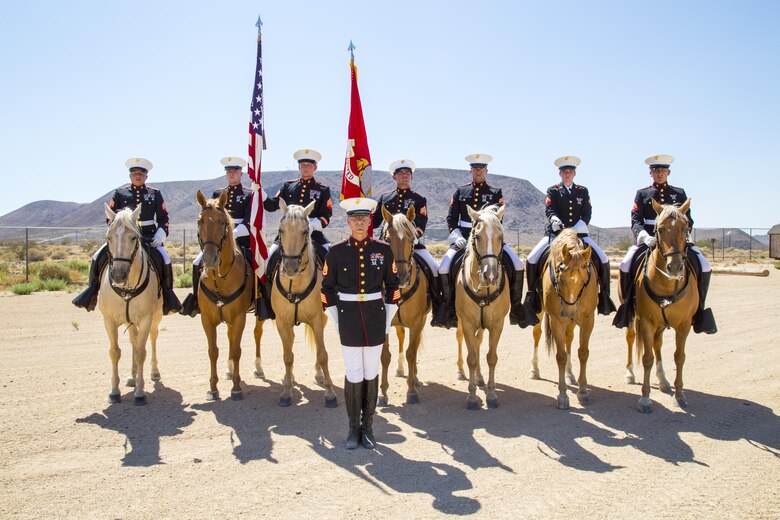 Sergeants Fernando Blanco, Jedidiah Birnie, Terry Barker, Jacob Cummins, and Corporals Nicholas Davis, Alicia Frost and Javier Castellon, and Staff Sgt. Nicholas Beberniss pose for a photos at the Lt. Col. Robert A. Lindsley Base Stables prior to departing for another event. The Corps' only remain mounted color guard unit is celebrating its 50th year of existence.