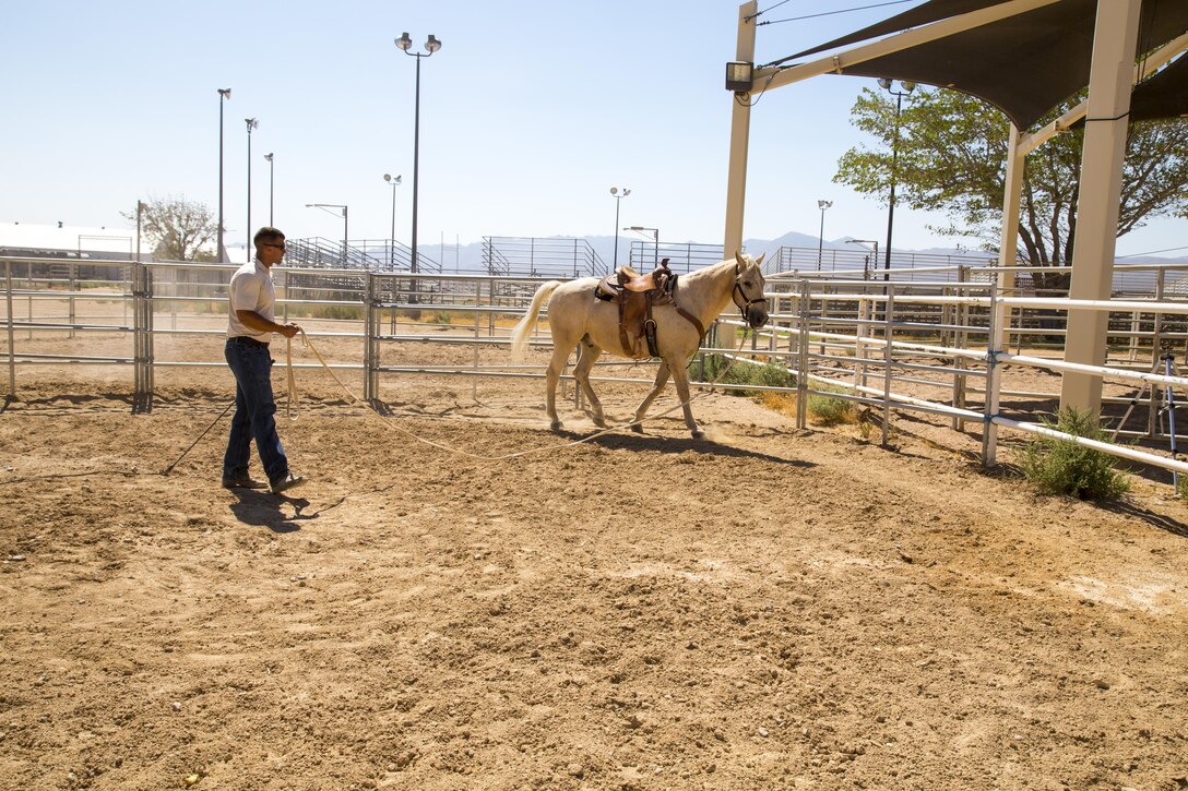 Corporal Nicholas Davis, stableman, works on ground training with one of the horses using a long lunge line, aboard Marine Corps Logistics Base Barstow, Aug. 14