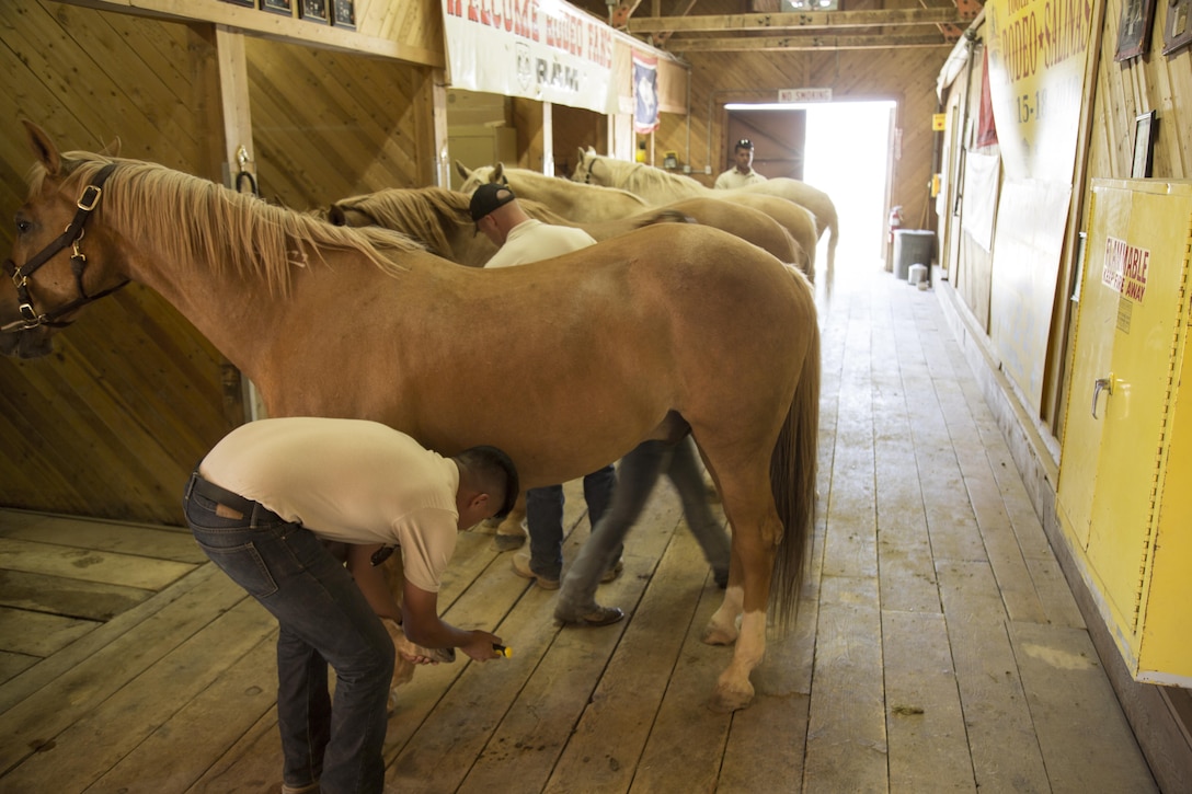 Corporal Jason Castellon, Sgt. Jedidiah Birnie, and Cpl. Nicholas Davis, stablemen, groom the horses as a team at the Lt. Col. Robert A. Lindlsey Base Stables, aboard Marine Corps Logistics Base Barstow, Calif., Aug. 14.