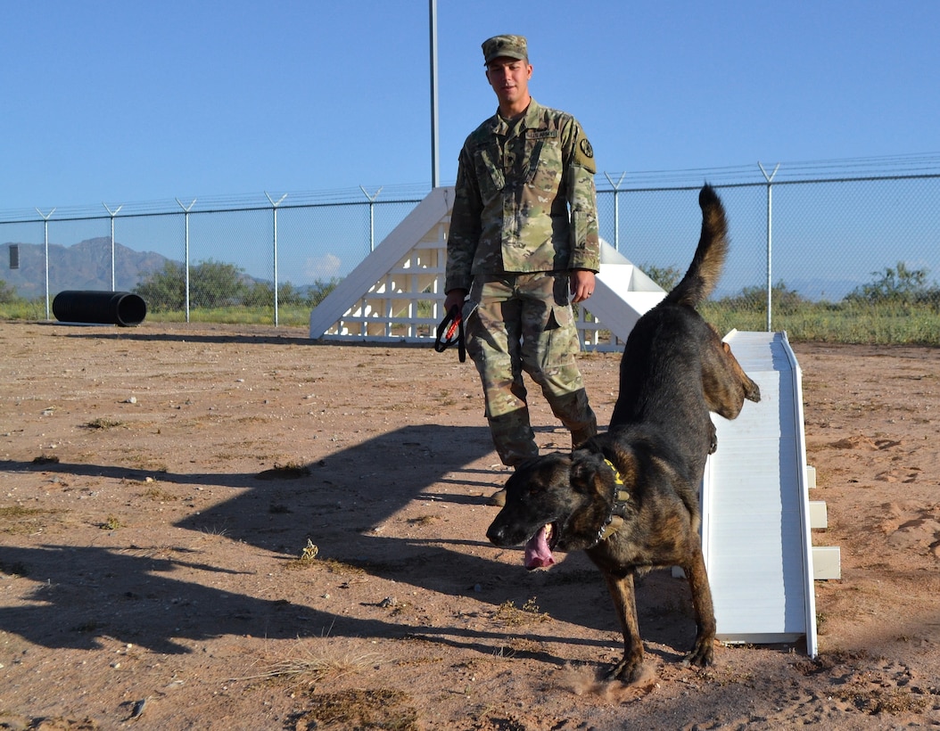 Army Spc. Harley Reno guides Kyra, 4, a military working dog, over an obstacle