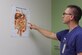 88th Medical Group gastroenterology clinic NCOIC, Staff Sgt Gregory Chaffin, points out the digestive system as he explains the broad range of diseases the gastroenterology clinic treats and provides screenings for. The clinic also diagnoses and treats patients with acid reflux and irritable bowel syndrome.