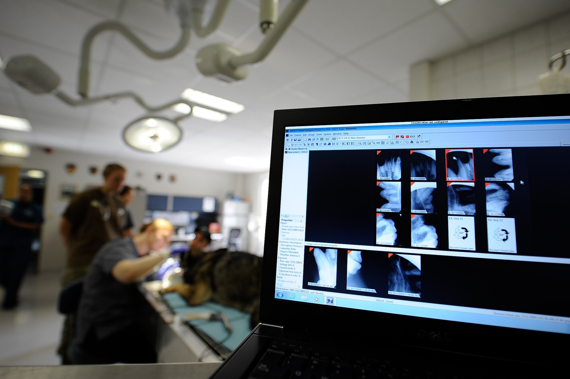 After biting down onto a steel pipe during training, Kobo, 86th Security Forces Squadron military working dog, underwent two non-surgical procedures for the extraction of his upper incisors and a surgical extraction of his upper fourth premolar at Pulaski Veterinary Clinic, Pulaski Barracks, Germany, Aug. 25, 2017. Due to the nature of their work, these K-9s are prone to dental injuries and depend on local dental clinics to help keep them in good working condition. (U.S. Air Force Airman 1st Class Savannah L. Waters)