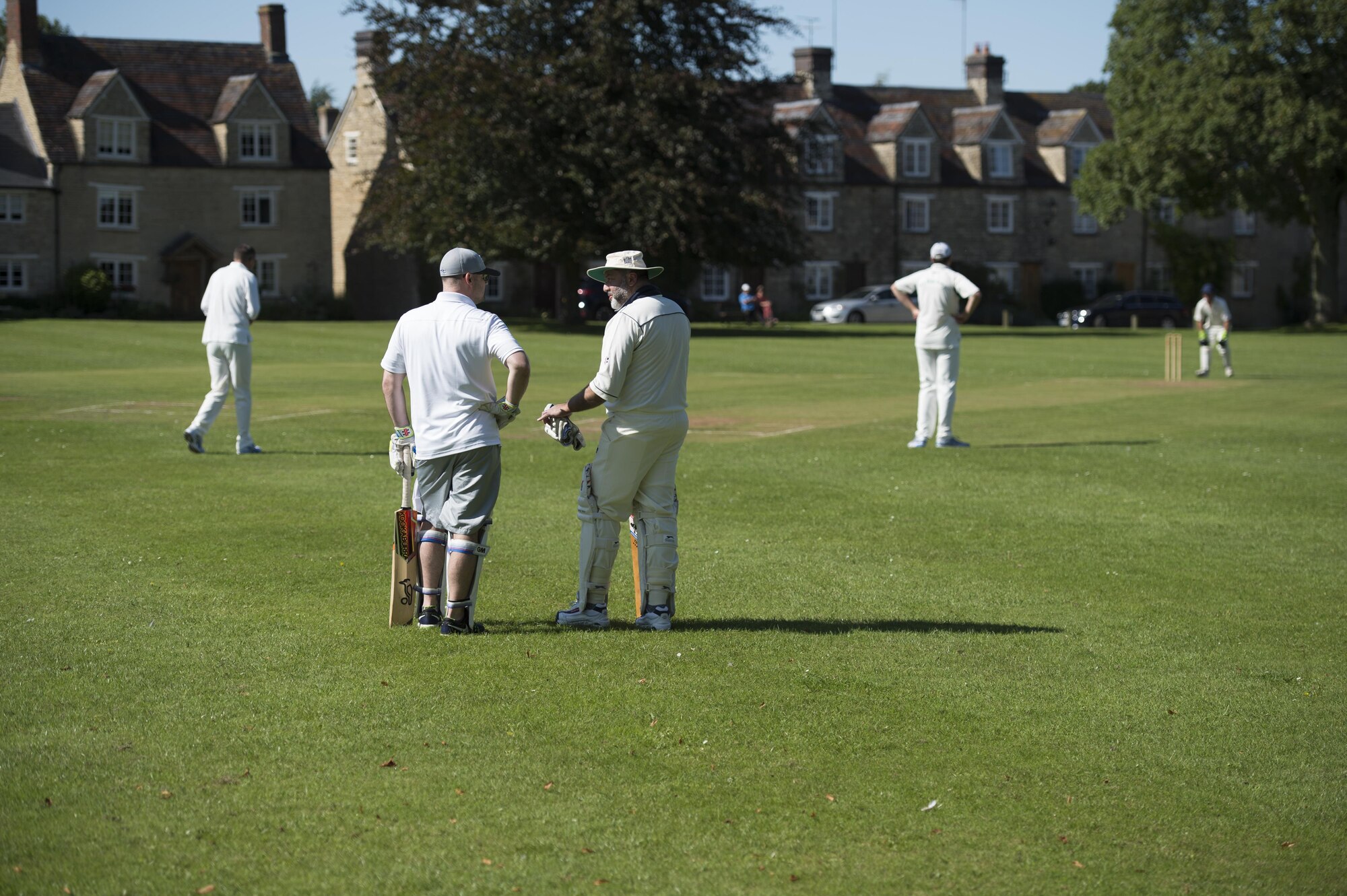 Cricket