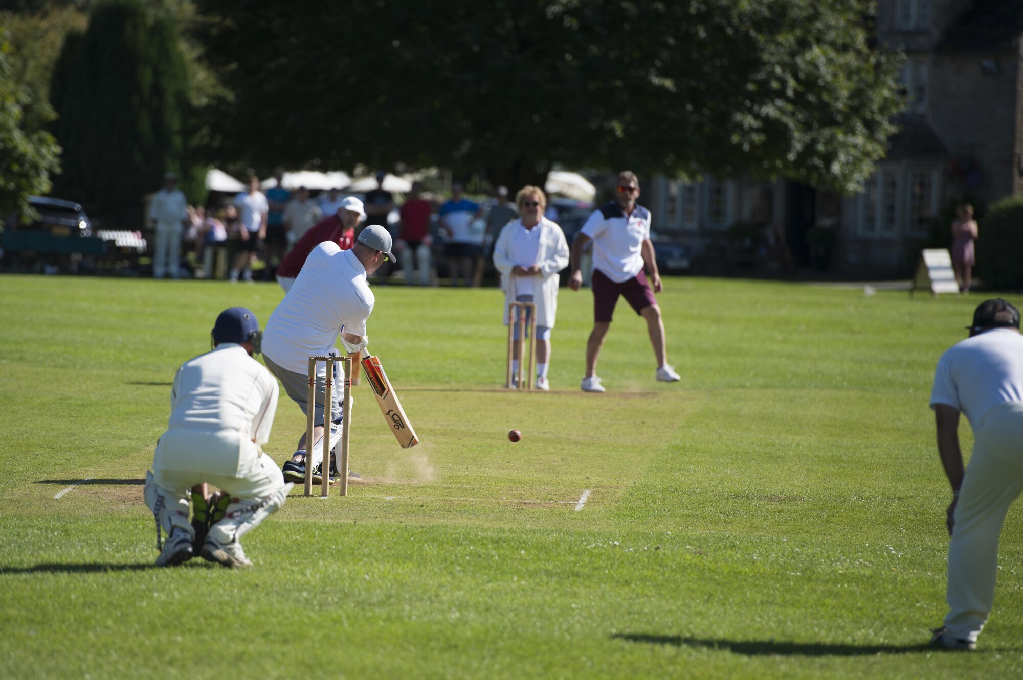 Cricket