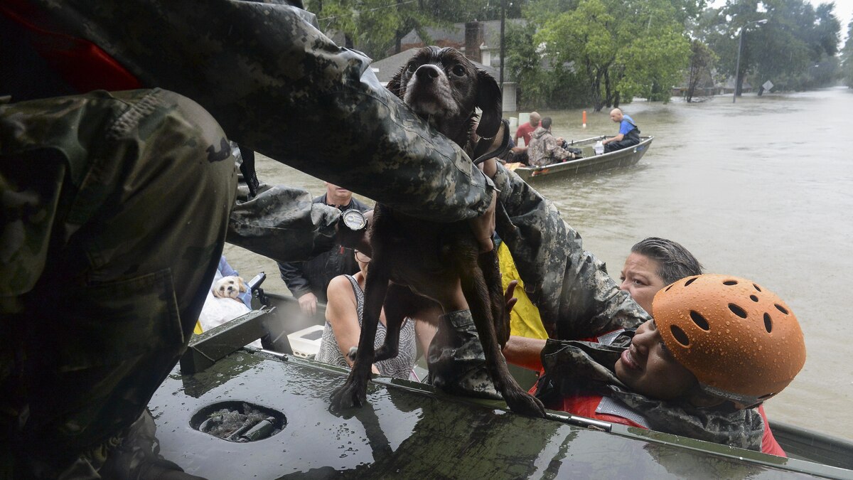 Harvey Flooding