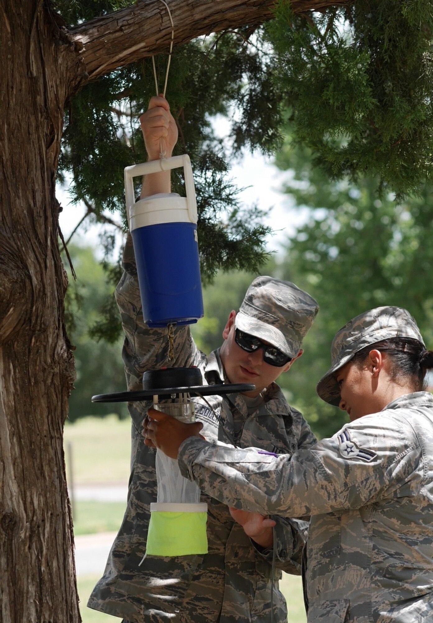 The Fight Against Mosquitos
