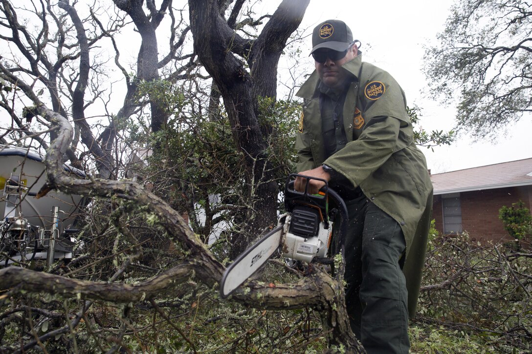 a border patrol agent uses a chain saw to cut a fallen tree.