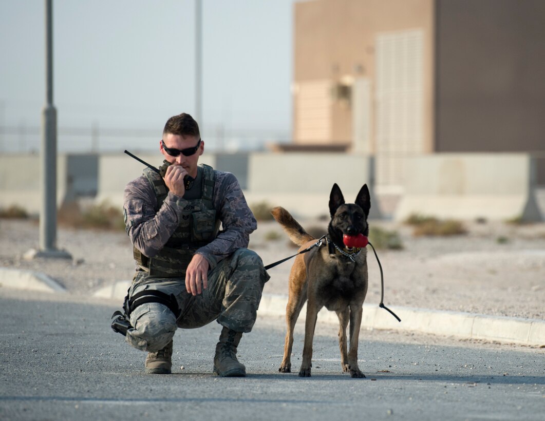 U.S. Air Force Staff Sgt. Timothy Dawson, a military working dog handler with the 379th Expeditionary Security Forces Squadron, radios in suspicious activity during a vehicle search exercise at Al Udeid Air Base, Qatar, Aug. 26, 2017.