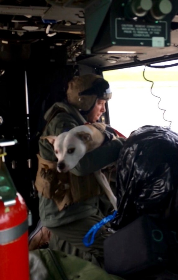 Gunnery Sgt. Heath Dierks and the “Red Dogs” of Marine Light Attack Helicopter Squadron 773, Marine Aircraft Group 49, 4th Marine Aircraft Wing, rescue a dog from the flood caused by Hurricane Harvey at Port Arthur, Texas, Aug. 29, 2017. Marine Forces Reserve is posturing ground, air and logistical assets in order to support FEMA, state and local response efforts due to Hurricane Harvey. The Marine Corps Reserve is America’s expeditionary total force in readiness whether on the battlefield or during national emergencies.
