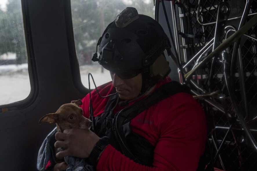 A Pararescueman from the 38th Rescue Squadron dries off a stranded dog that was saved, Aug. 30, 2017, in the Houston, Texas area.