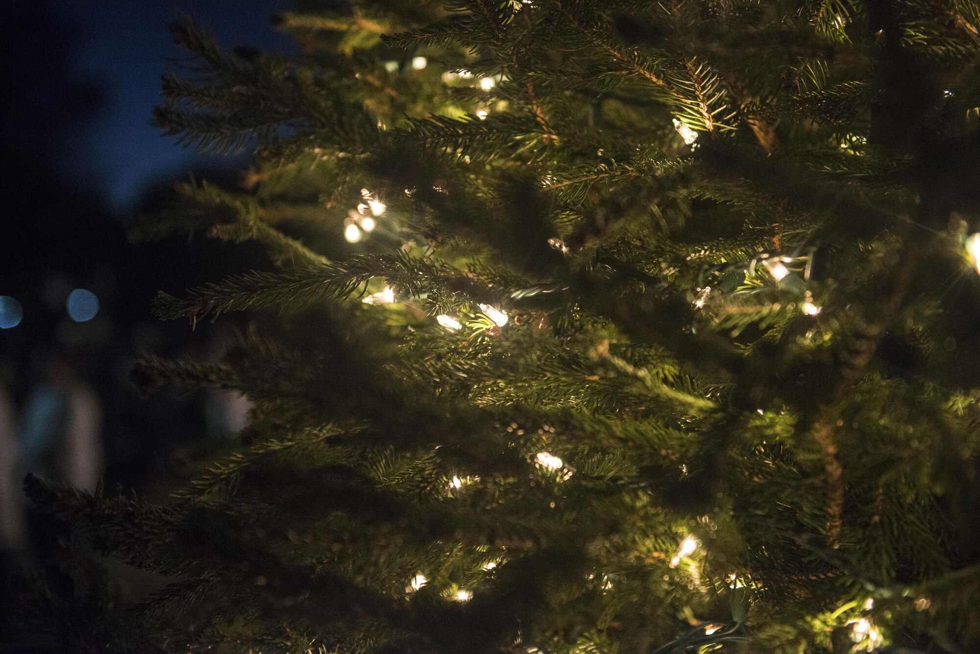 The holiday tree glows after the Holiday Display Lighting event at Shaw Air Force Base, South Carolina, Nov. 29, 2017.