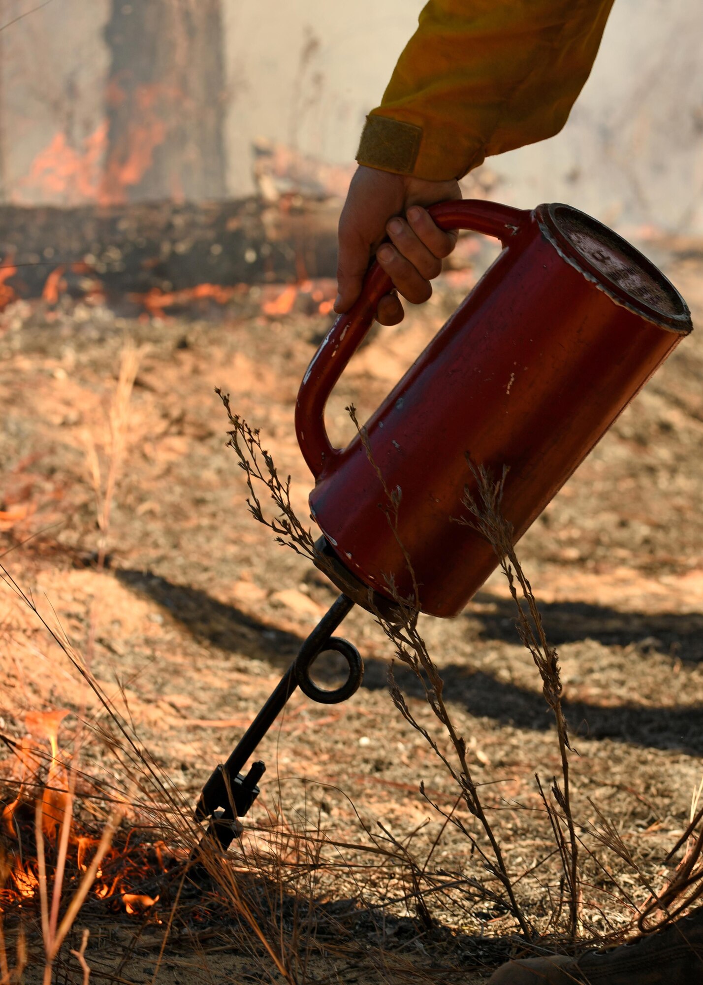 A Shaw Wildland Support Module team member ignites grass during a controlled burn at Poinsett Electronic Combat Range near Wedgefield, South Carolina, Nov. 29, 2017.