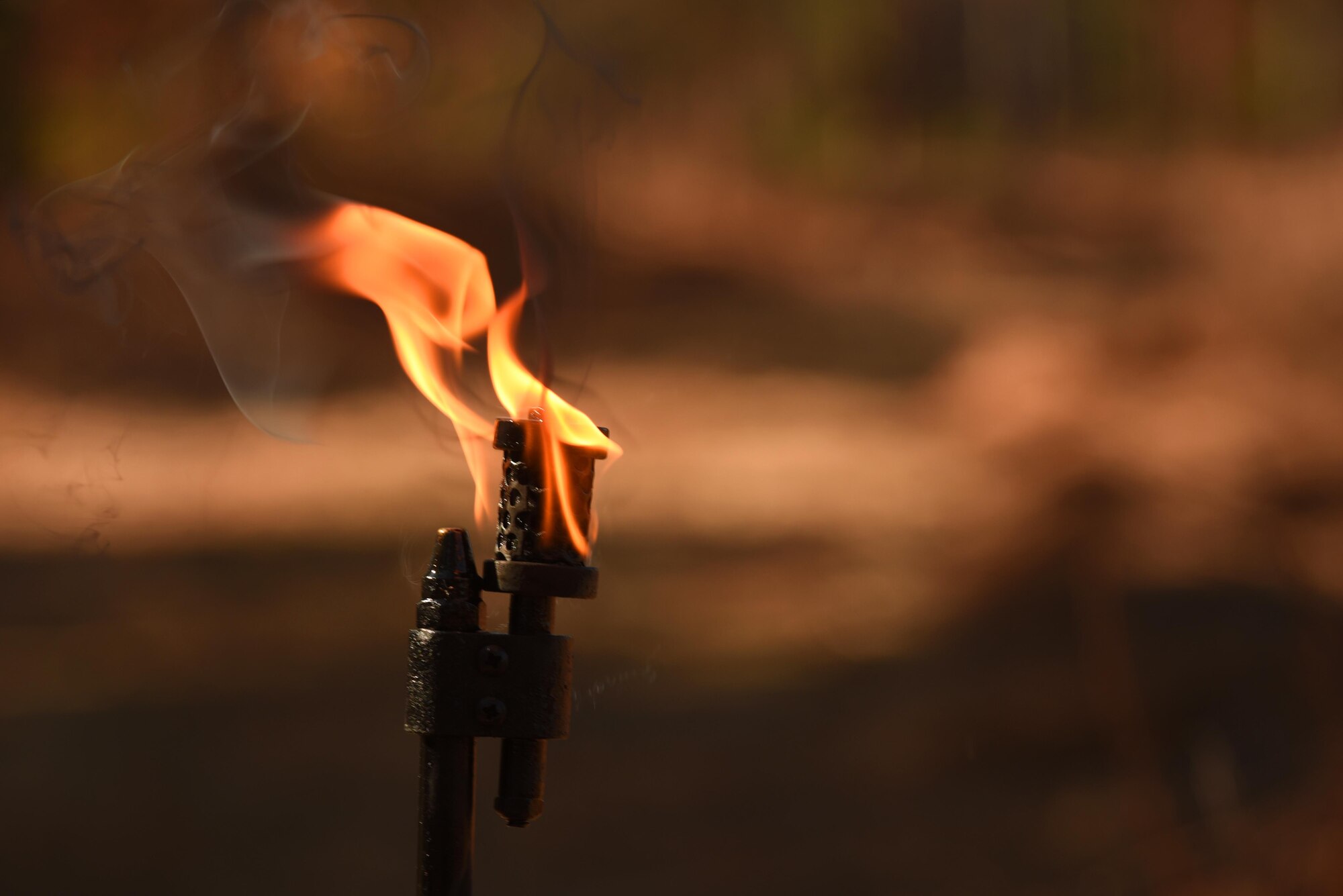 Shaw Wildland Support Module team members and 20th Civil Engineer Squadron firefighters ignited 10 acres of land at Poinsett Electronic Combat Range near Wedgefield, South Carolina, Nov. 29, 2017.