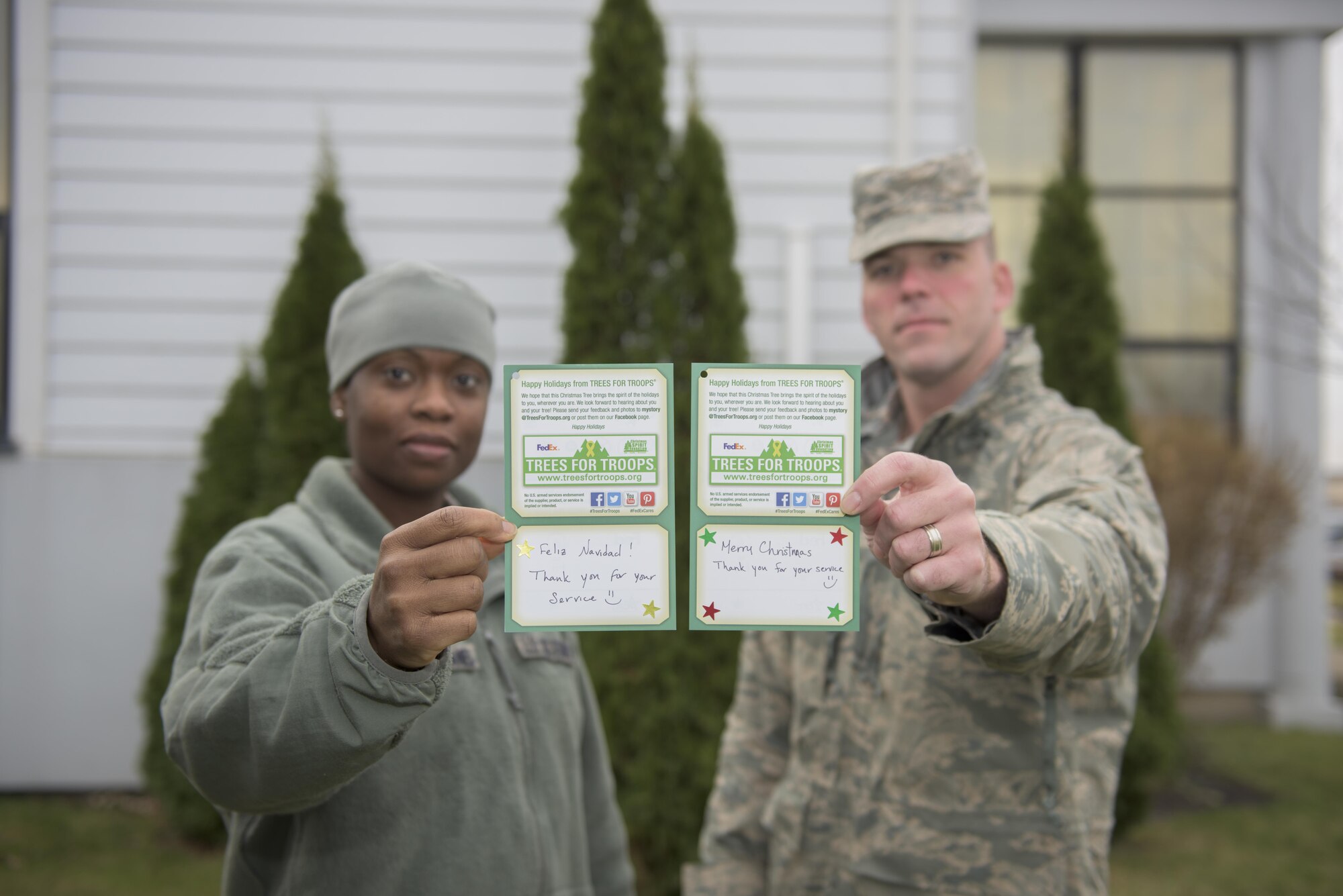 Trees donated for troops in need