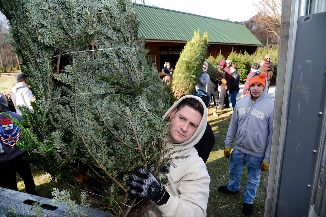 Guardsmen and family members load Christmas trees onto trucks.