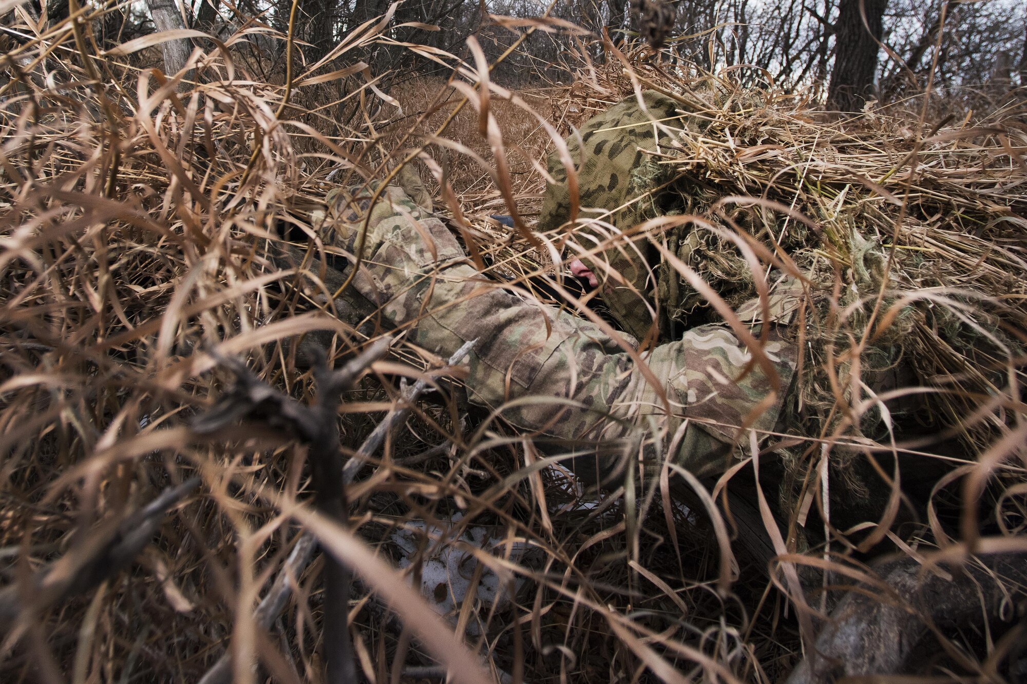 A 791st Missile Security Forces Squadron marksman looks through his rifle scope during joint-unit training at Minot Air Force Base, N.D., Nov. 22, 2017. During training, marksmen teams observed a 5th Security Forces Squadron military working dog team while gathering intelligence and avoiding detection. (U.S. Air Force photo by Senior Airman J.T. Armstrong)