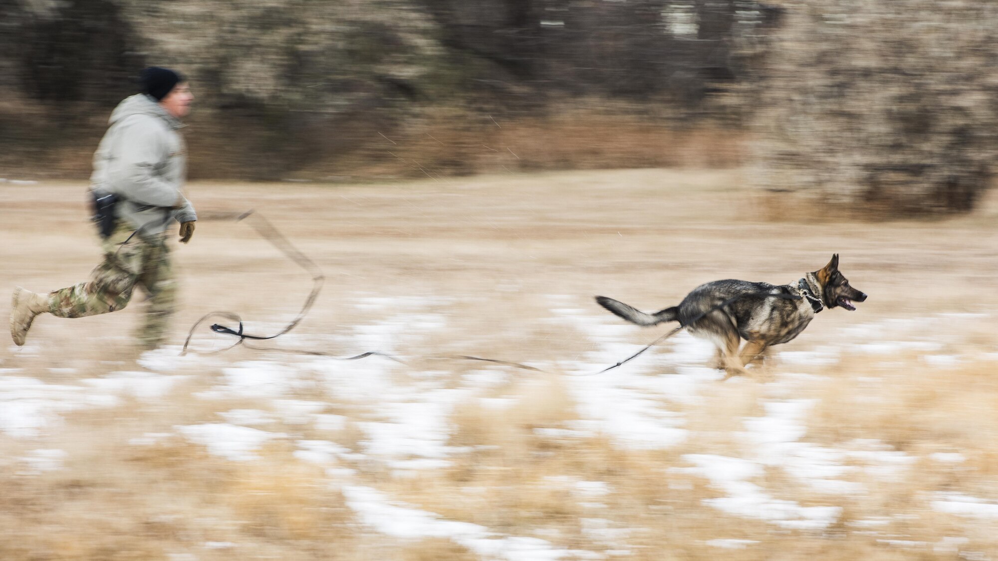 Senior Airman Angel Flores, 5th Security Forces Squadron military working dog handler, and MWD Kety spot a marksman team member during joint-unit training at Minot Air Force Base, N.D., Nov. 22, 2017. MWD teams trained with 719st Missile Security Forces squadron marksman teams to identify and apprehend personnel attempting to evade or avoid detection. (U.S. Air Force photo by Senior Airman J.T. Armstrong)