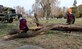 Anna Myers, age three, and Finnigan Myers, age six, children of U.S. Army Lt. Col. Vince Myers, McDonald Army Health Center commander, use a log as a seesaw during a restoration project at Pleasant Shade Cemetery in Hampton, Va. Dec. 2, 2017.