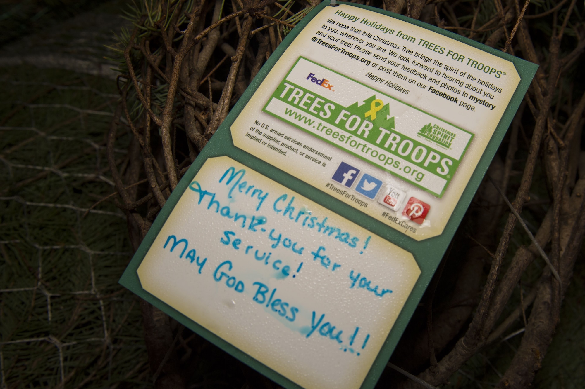 Hurlburt A&FRC provides 600+ Christmas trees to Airmen and families