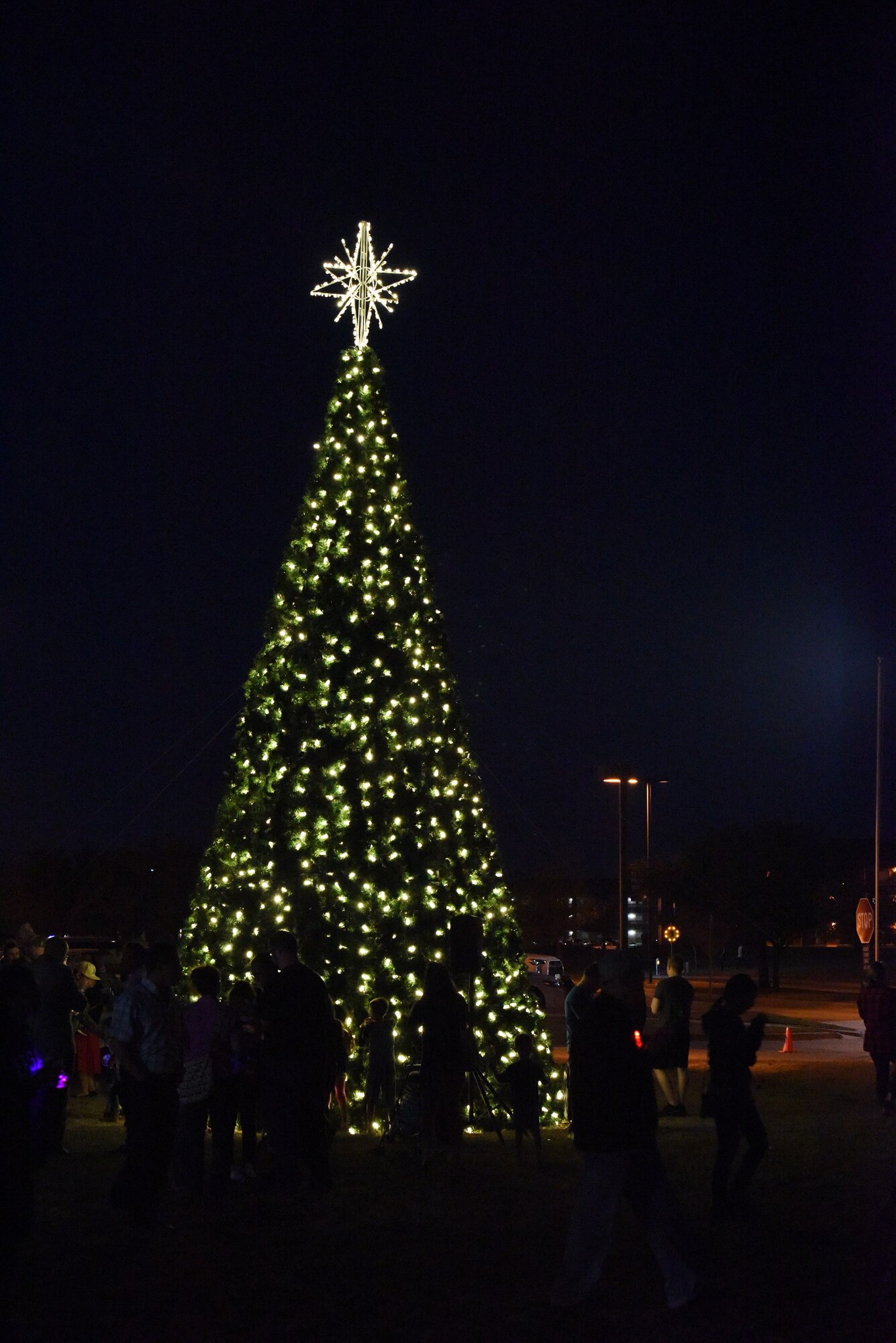 A crowd stands around the tree during the Tree Lighting Ceremony at the Parade Field on Goodfellow Air Force Base, Texas, Dec. 4, 2017. The event had activities for children such as making decorations or cookies as well as Olaf from the Disney movie Frozen, U.S. Air Force Col. Jeffrey Sorrell, 17th Training Wing vice commander, and Santa Claus.