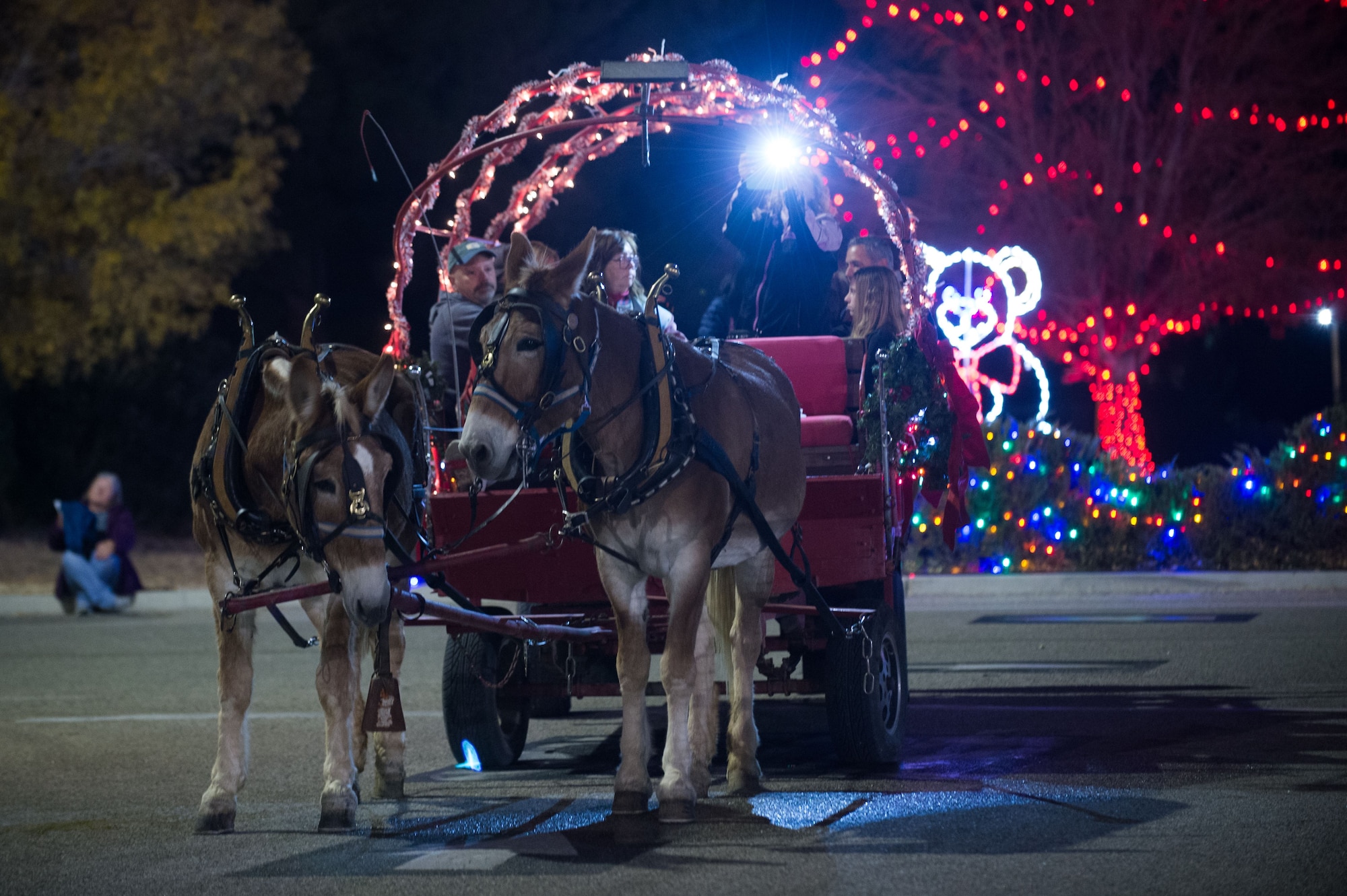 Carriage rides add to the holiday spirit during Winterfest. (U.S. Air Force photo by Jennifer Correa)