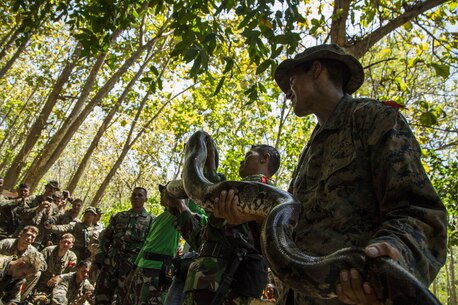 U.S. Marines with 1st Battalion, 3rd Marine Regiment and a members of the Indonesian Korps Marinir hold a python as part of a jungle survival class during Cooperation Afloat Readiness & Training (CARAT) in Banyuwangi, East Java, Indonesia, Sept. 11, 2017. CARAT builds, maintains and enhances bilateral defense and interoperability of military forces between the United States and Indonesia. (U.S. Marine Corps photo by  Lance Cpl. Osvaldo L. Ortega III)