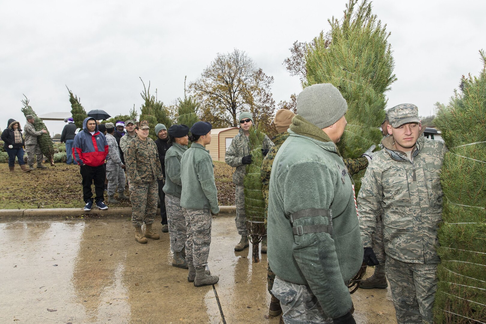 Members of the Joint Base San Antonio-Lackland community pick Christmas tress at JBSA-Lackland donated by the Christmas SPIRIT Foundation, FedEx and 18 tree farmers as part of the Trees for Troops program Dec. 7, 2017.