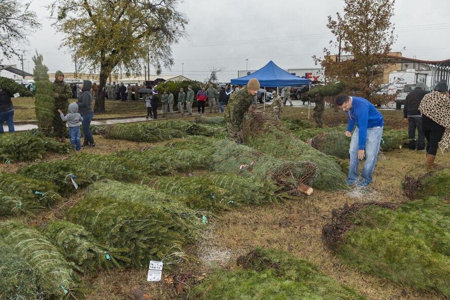 Members of the Joint Base San Antonio-Lackland community pick Christmas tress at JBSA-Lackland donated by the Christmas SPIRIT Foundation, FedEx and 18 tree farmers as part of the Trees for Troops program Dec. 7, 2017.