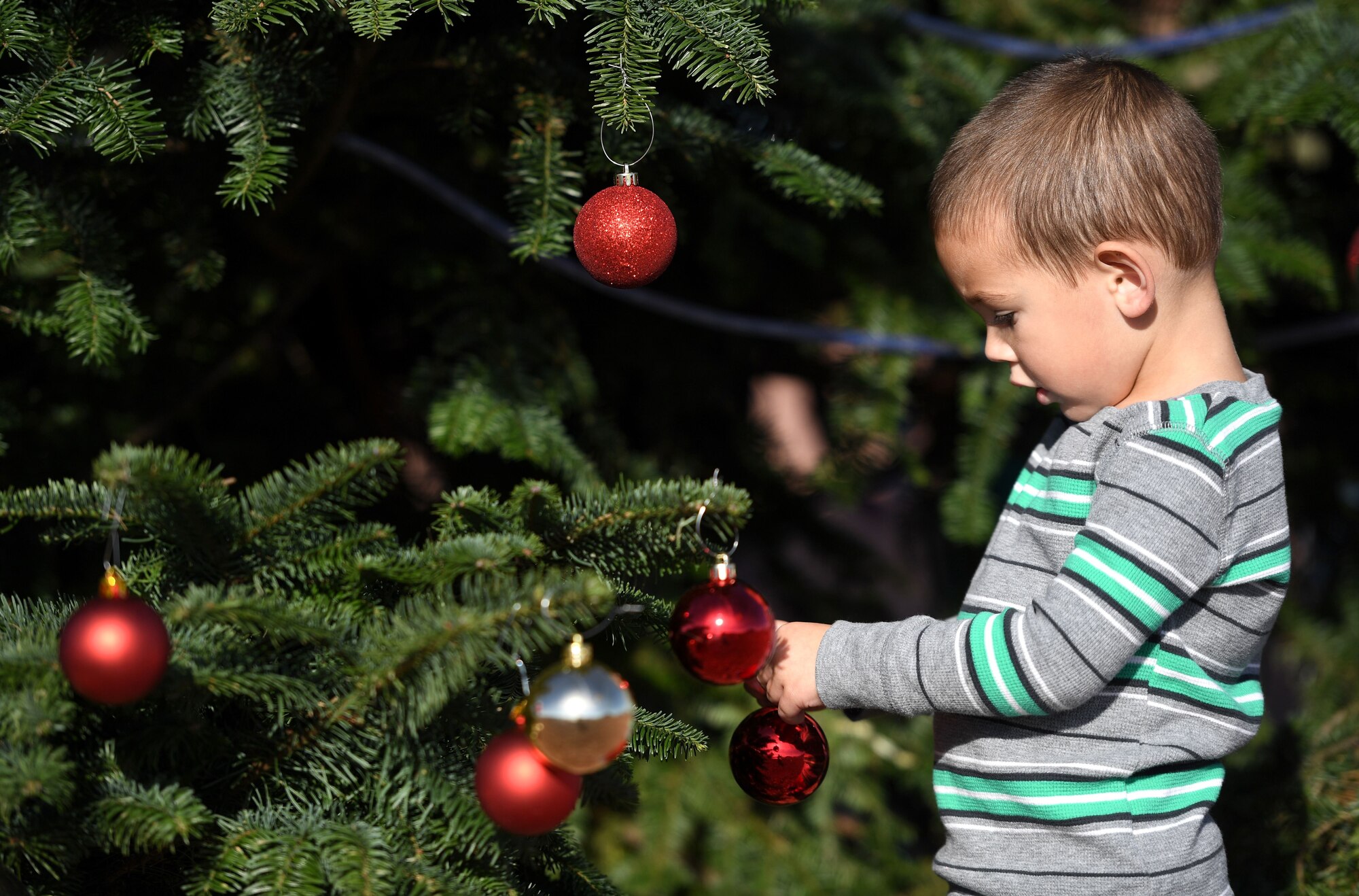 A child decorates the first Creech Air Force Base Christmas tree Dec. 2, 2017, at Creech AFB, Nev. Creech hosted its first tree-lighting ceremony to celebrate in conjunction with Creech’s Children Holiday Party. (U.S. Air Force photo/Senior Airman Christian Clausen)