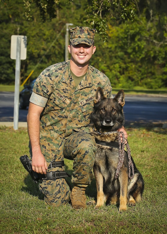 Cpl. Erik Powell and his Military Working Dog Joy were certified as MWD Team aboard Marine Corps Air Station Beaufort, Sept. 20. The provost marshal and the kennel master with the MCAS Beaufort Provost Marshal’s Office oversaw the certification .The certification scenarios were held in one of the storage warehouses on the air station and tested both the handler and the dog on their ability to work together. The K-9 team is with PMO.