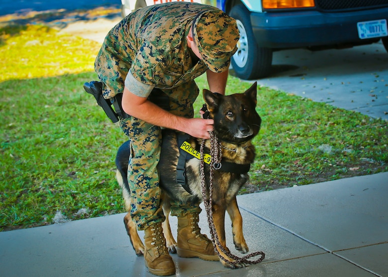 Cpl. Erik Powell and his Military Working Dog Joy were certified as MWD Team aboard Marine Corps Air Station Beaufort, Sept. 20. The provost marshal and the kennel master with the MCAS Beaufort Provost Marshal’s Office oversaw the certification .The certification scenarios were held in one of the storage warehouses on the air station and tested both the handler and the dog on their ability to work together. The K-9 team is with PMO.