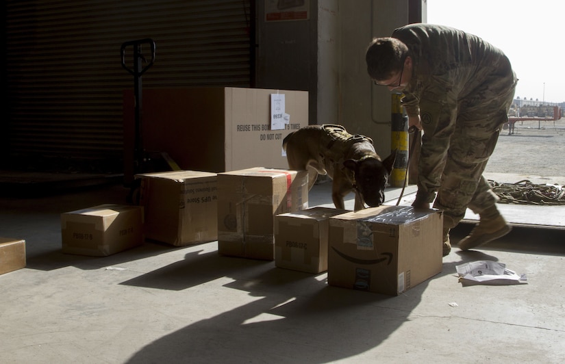 Soldier and military working dog inspecting packages.