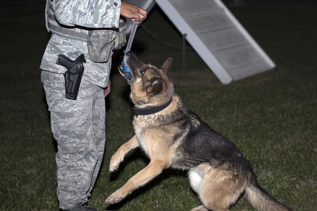 A dog and an airman play tug of war with a toy.