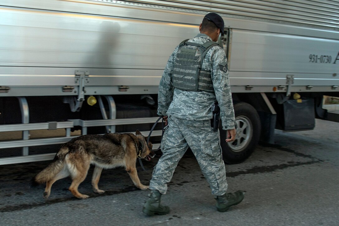A dog walks near a vehicle with a handler.