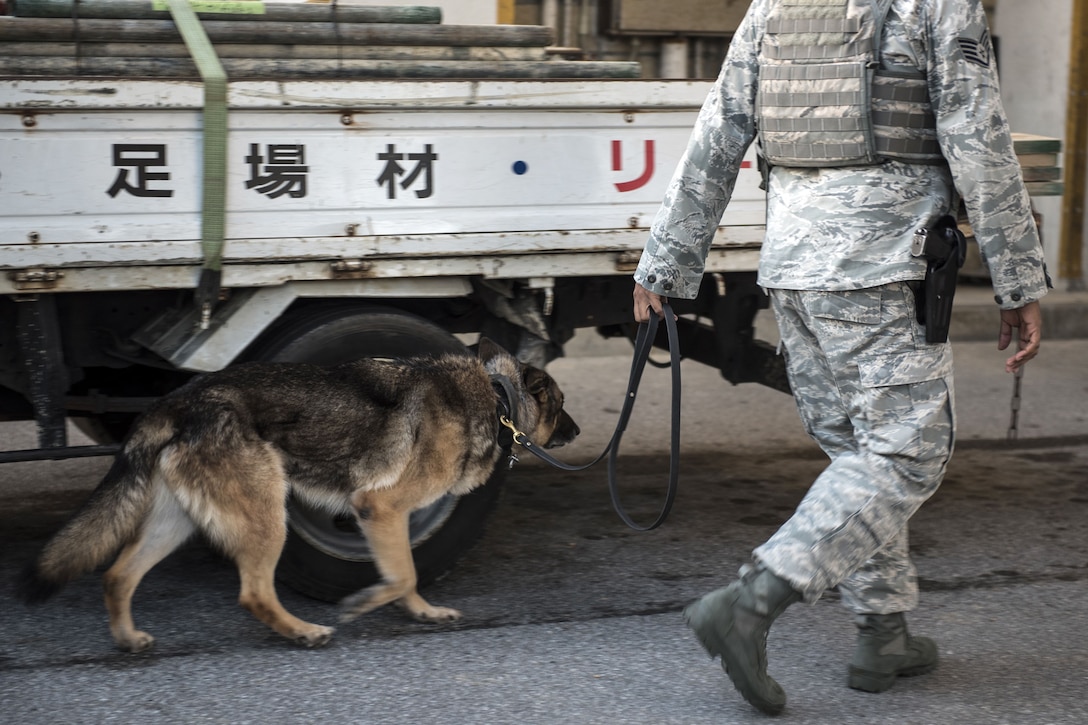 A service member and dog walk near a vehicle.